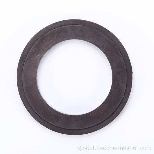 Injection Molding Magnet Plastic magnetic ring of brushless motor encoder Manufactory